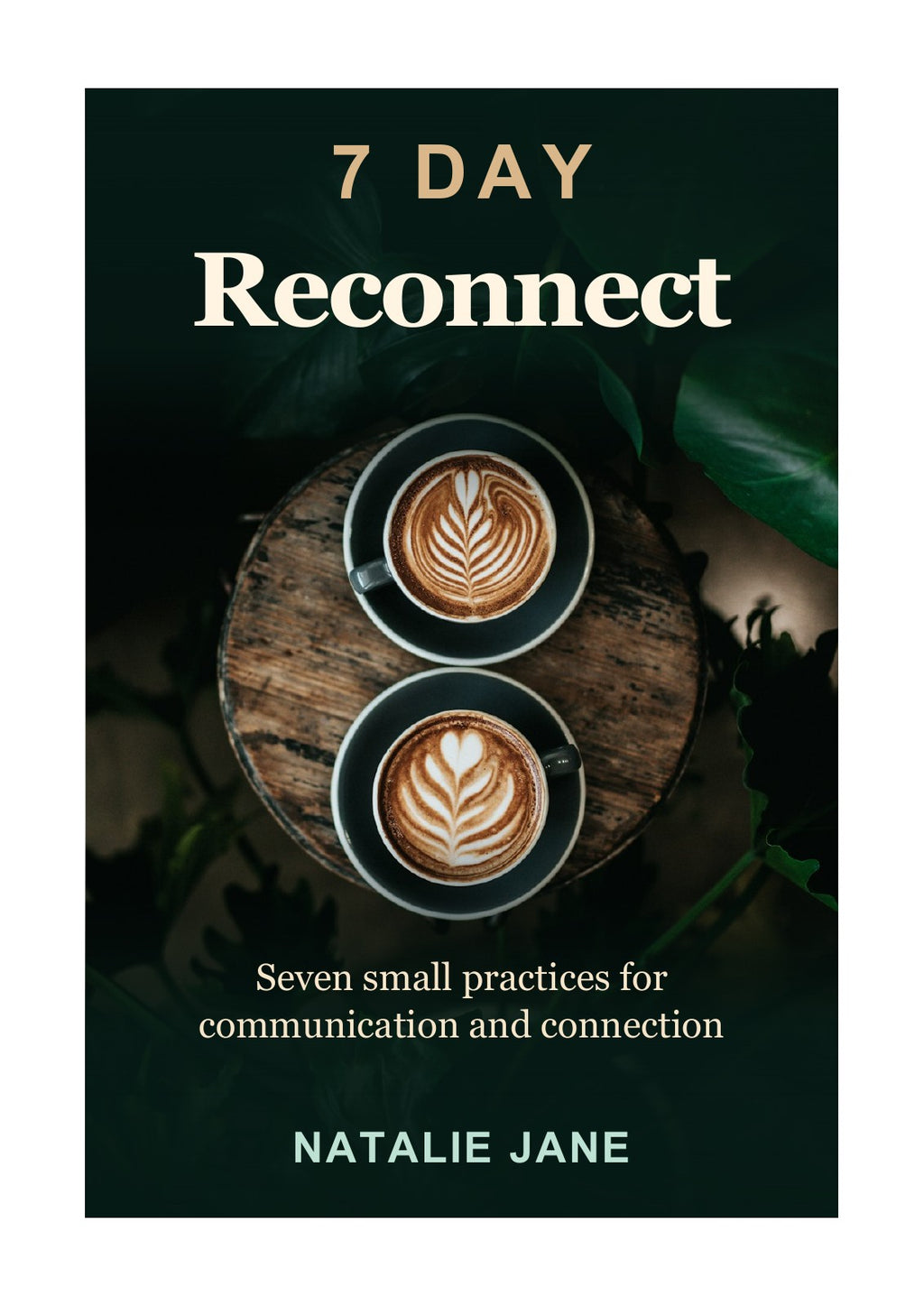 7-Day Reconnect cover by Natalie Jane
